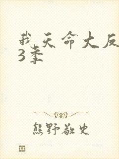 我天命大反派第3季