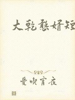 大乾憨婿短剧版