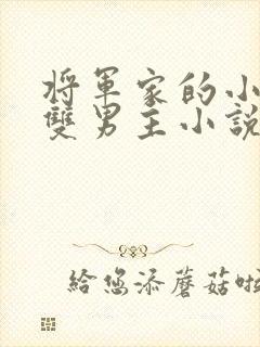 将军家的小儿子双男主小说