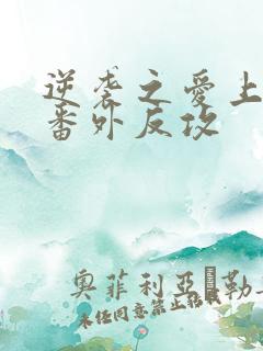 逆袭之爱上情敌番外反攻