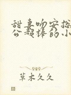 甜妻吻安总裁老公超棒的小说