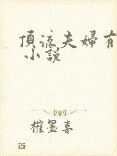 顶流夫妇有点甜 小说