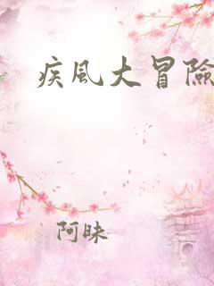 疾风大冒险下载