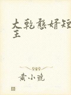 大乾憨婿短剧女主