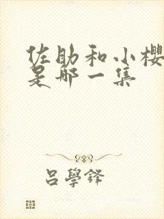 佐助和小樱结婚是哪一集