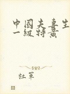 中国夫妻生活片一级特黄