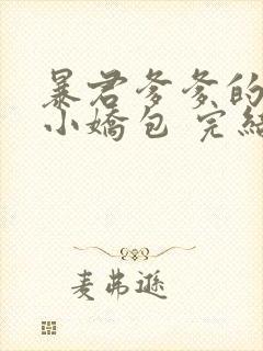 暴君爹爹的团宠小娇包 完结版