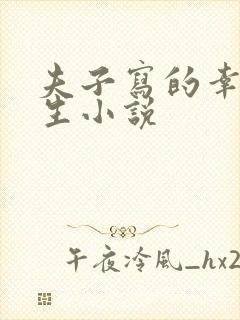 夫子写的幸福人生小说