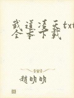 武道凌天txt全本下载
