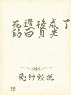 死遁后成了师尊的白月光