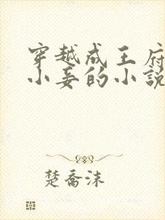 穿越成王府炮灰小妾的小说