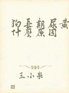 狗长期尿黄尿是什么原因