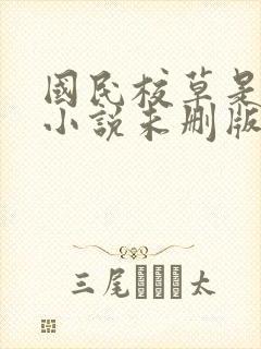 国民校草是女生小说未删版下载txt