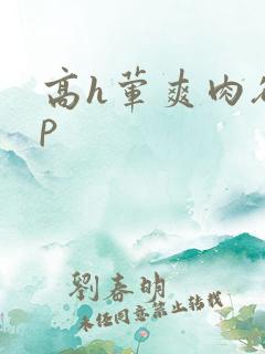 高h荤爽肉欲np