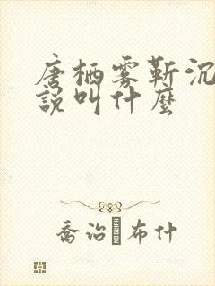 唐栖雾靳沉野小说叫什么