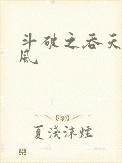 斗破之吞天决萧风