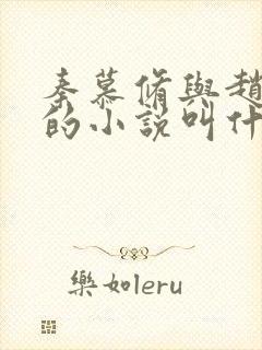 秦慕修与赵锦儿的小说叫什么名字