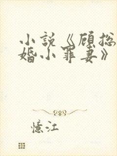 小说《顾总的隐婚小罪妻》