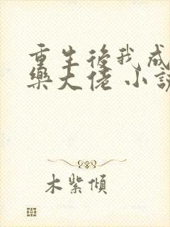 重生后我成了娱乐大佬 小说