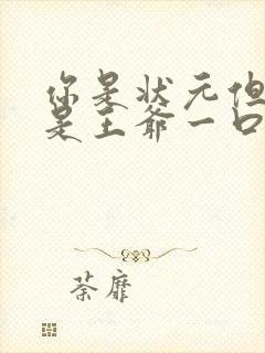 你是状元但你爹是王爷一口气看完