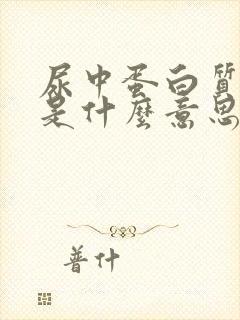 尿中蛋白质2+是什么意思