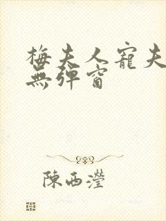 梅夫人宠夫日常无弹窗