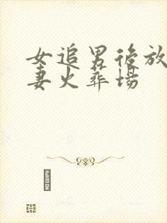 女追男后放弃追妻火葬场