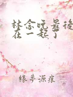 林念晚最后和谁在一起了