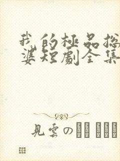 我的极品总裁老婆短剧全集