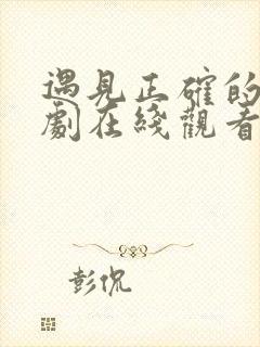 遇见正确的你短剧在线观看全集