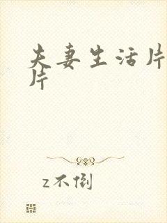 夫妻生活片一级片