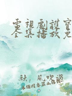 电视剧护宝寻踪全集播放免费观看