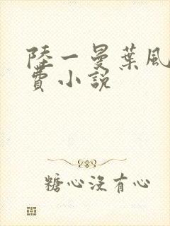 陆一曼叶风云免费小说