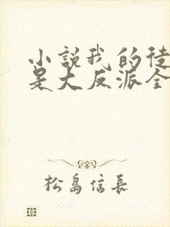 小说我的徒弟都是大反派全文下载