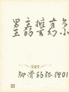 男主拥有多个女主的玄幻小说