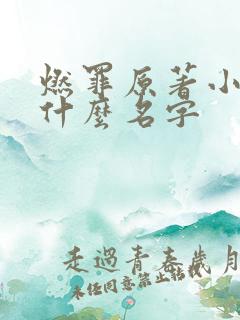 燃罪原著小说叫什么名字