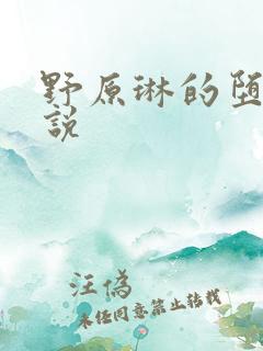 野原琳的堕落小说