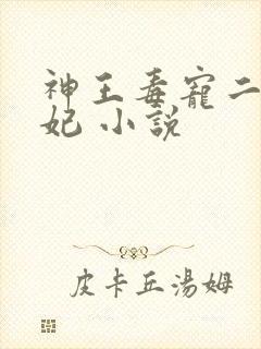 神王毒宠二嫁王妃 小说