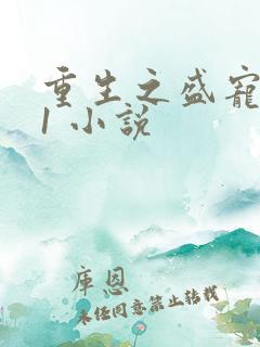 重生之盛宠1v1 小说