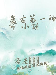 万古第一神李天命 小说