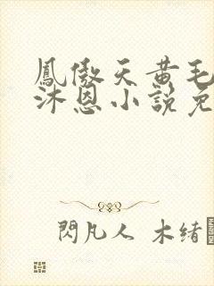 凤傲天黄毛反派沐恩小说免费观看