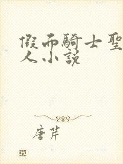 假面骑士圣刃同人小说