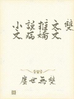 小说推文双男主文病娇文