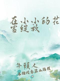 在小小的花蕾深处绽放