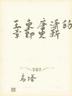 王东唐潇的最新章节更新