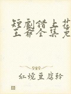 短剧错上花轿嫁王爷全集免费观看