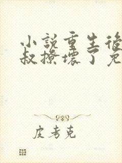 小说重生后我被叔撩坏了免费看