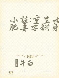 小说:重生七零肥妻要翻身