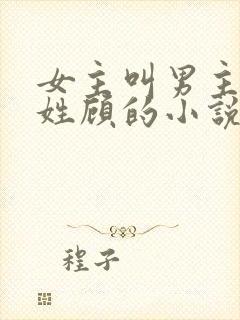 女主叫男主叔叔姓顾的小说