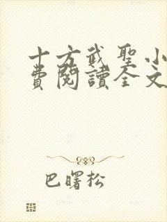 十方武圣小说免费阅读全文